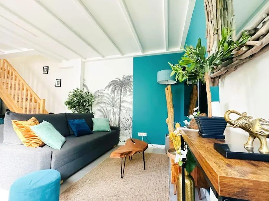 Loasis - Duplex T4 Hypercentre Διαμέρισμα Villefranche-sur-Saône Γαλλία